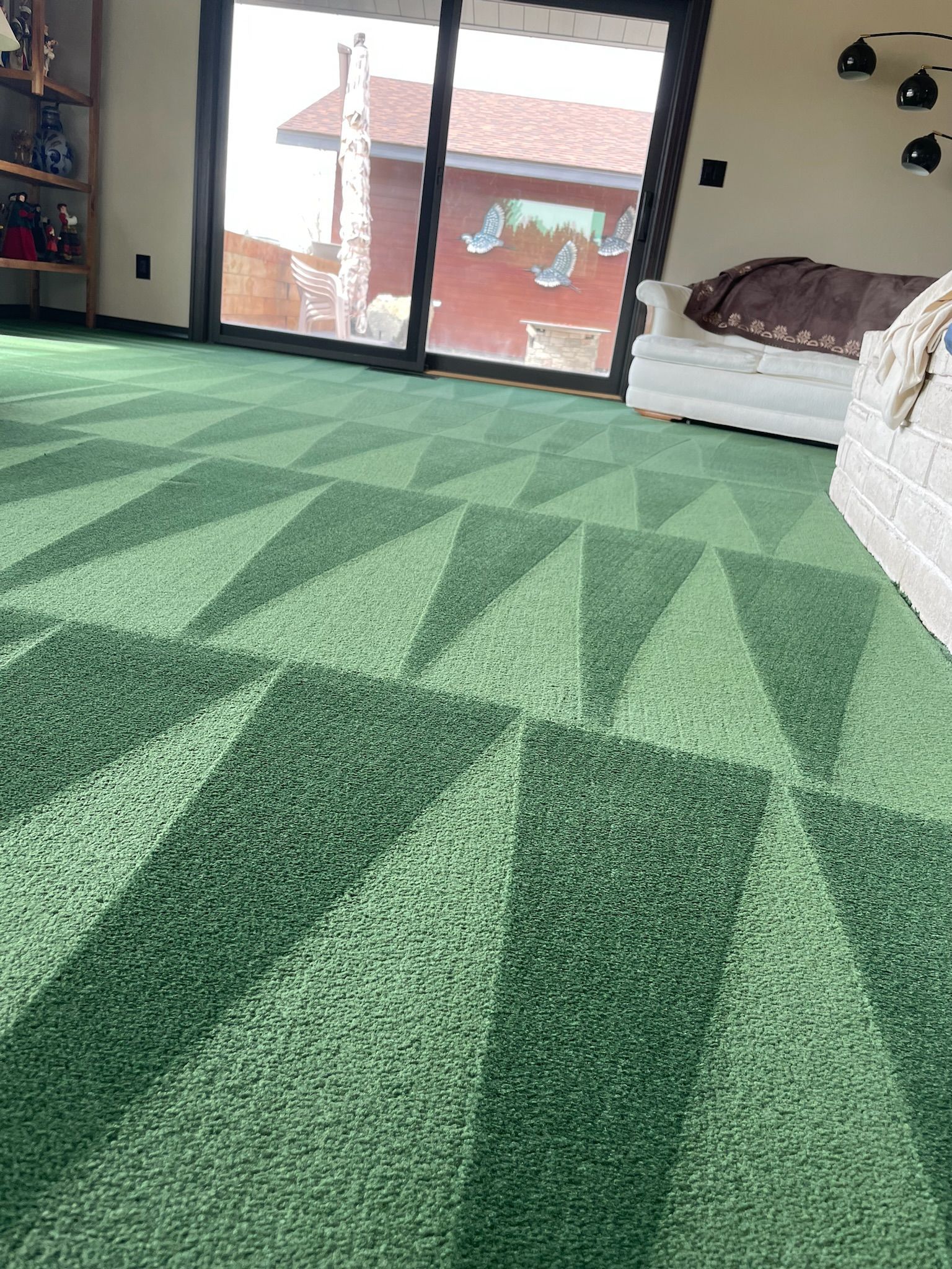 Professional carpet steam cleaning for residential home