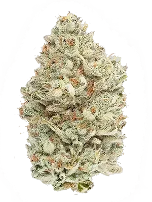 Cannabis bud, light green with orange hairs and covered in white trichomes.
