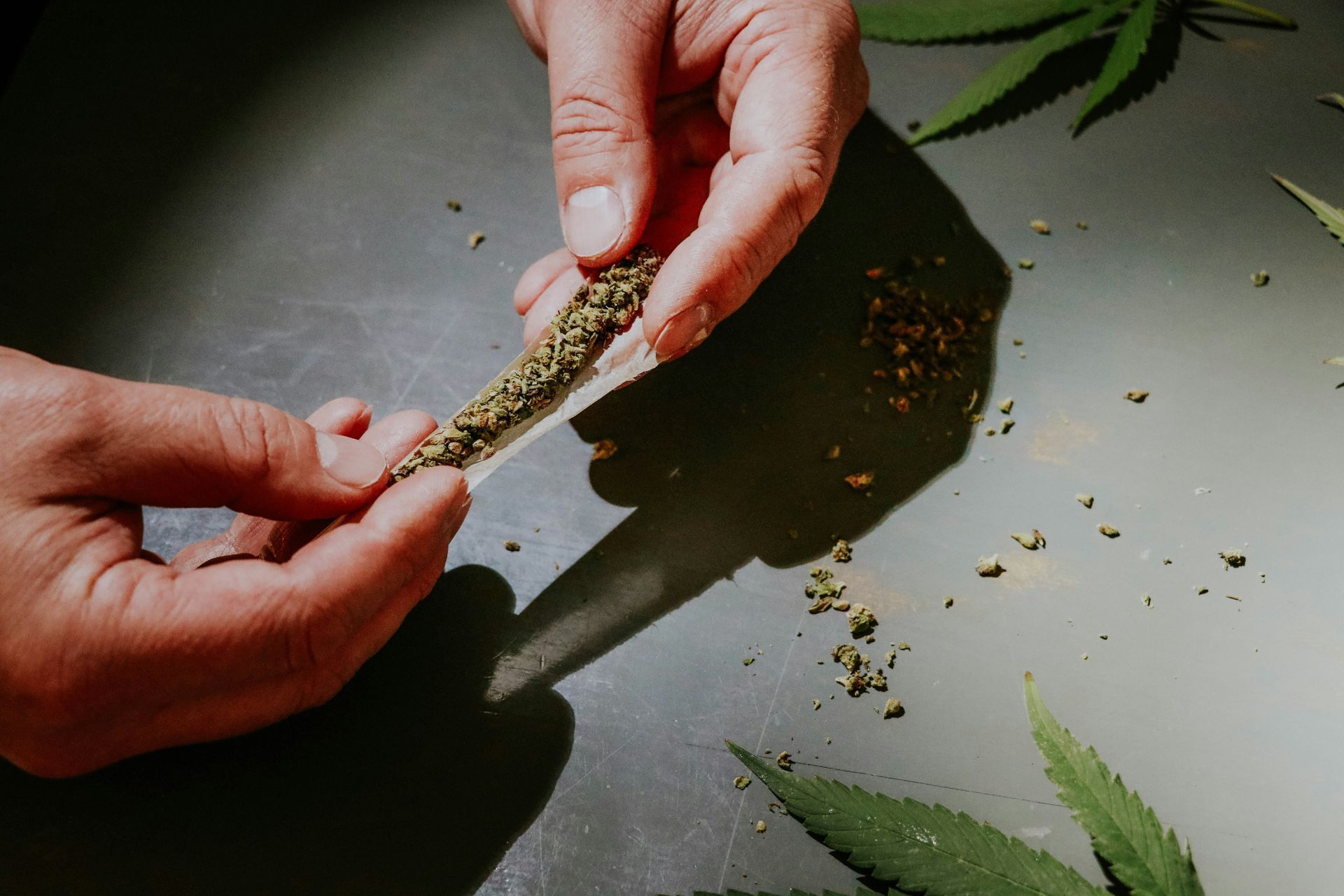 Hands rolling a marijuana joint on a gray surface, with scattered herb and cannabis leaves.