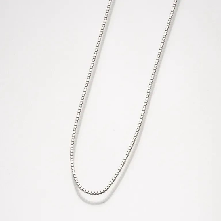 Delicate silver chain necklace on a white background