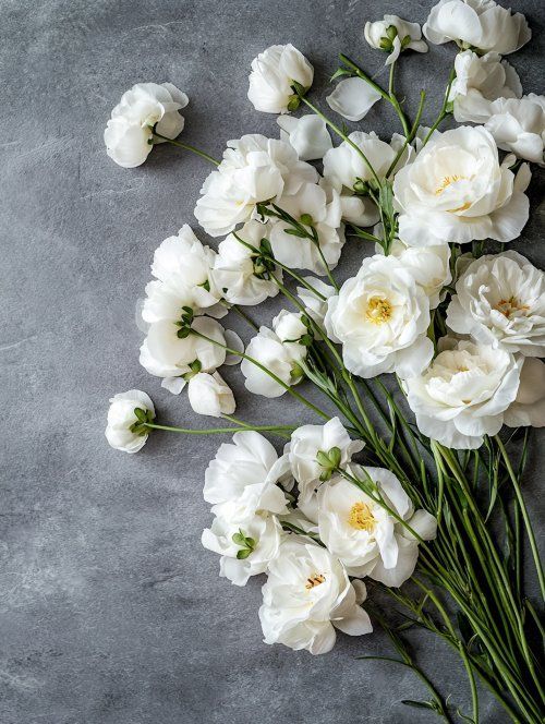 White funeral flowers arranged on gray stone surface with green stems, Dallastown, PA Funeral Services