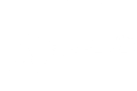 S&S Pools and Supply logo