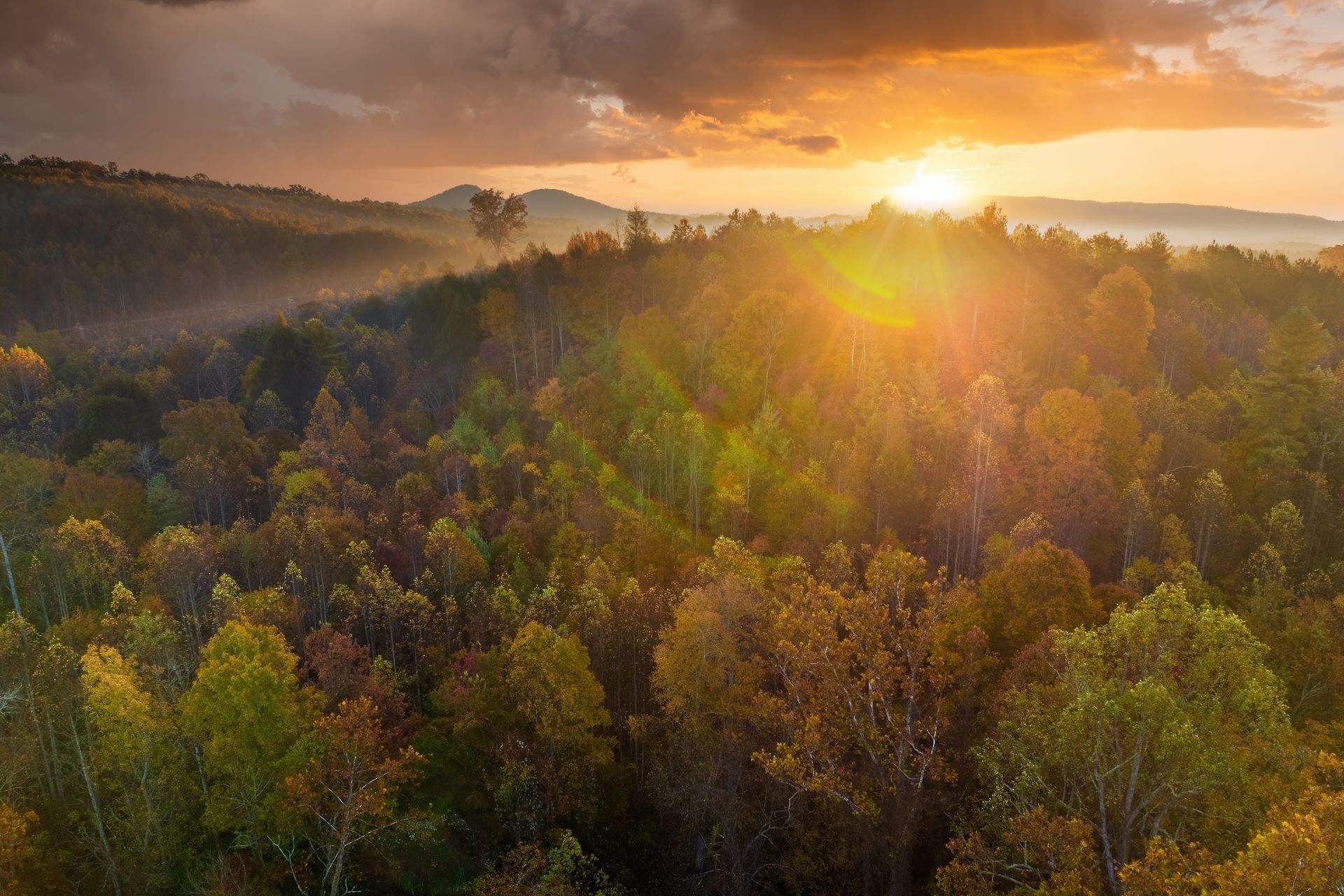 Sunrise over a forested hillside with golden light and misty mountains in the distance