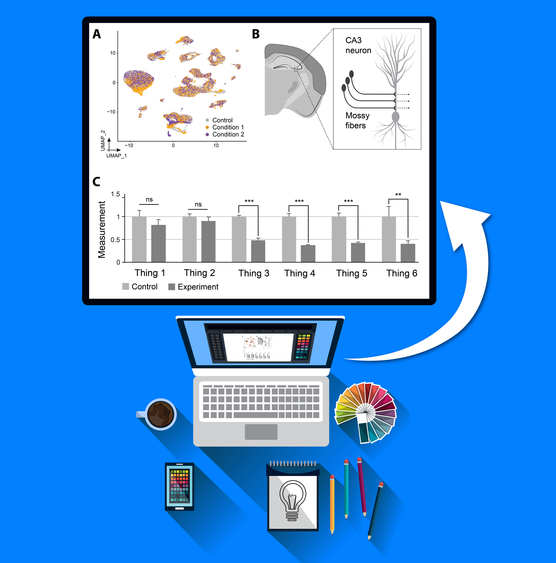 Scientific Illustration Course Overview Simplified Science Pro