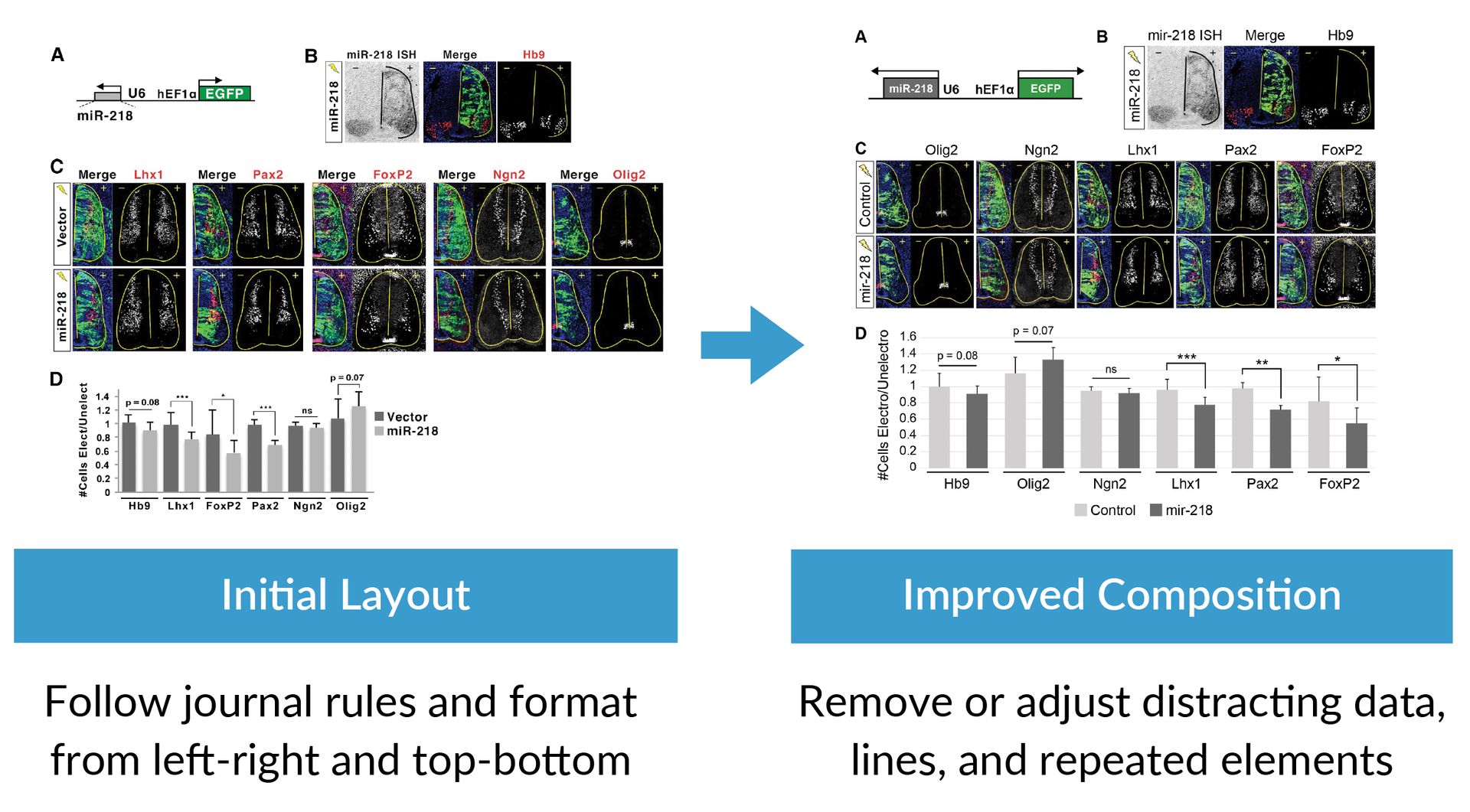 How to Make Good Figures for Scientific Papers