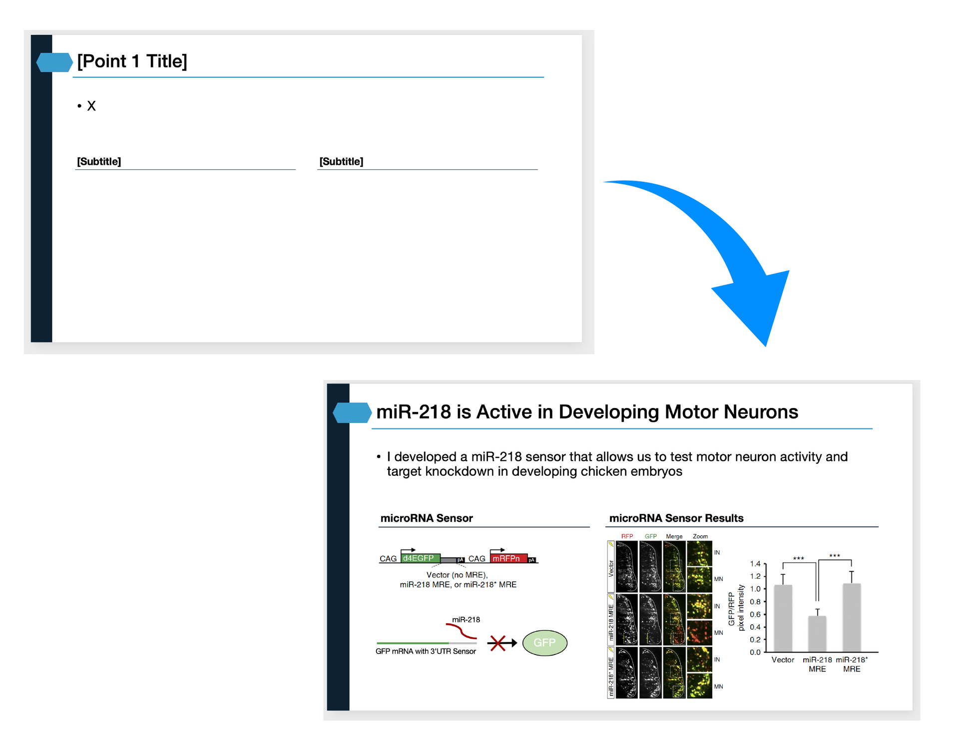 Presentation slide template example for research data