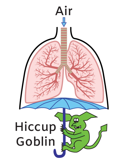 Diaphragm function and hiccup example Diaphragm function and hiccup example