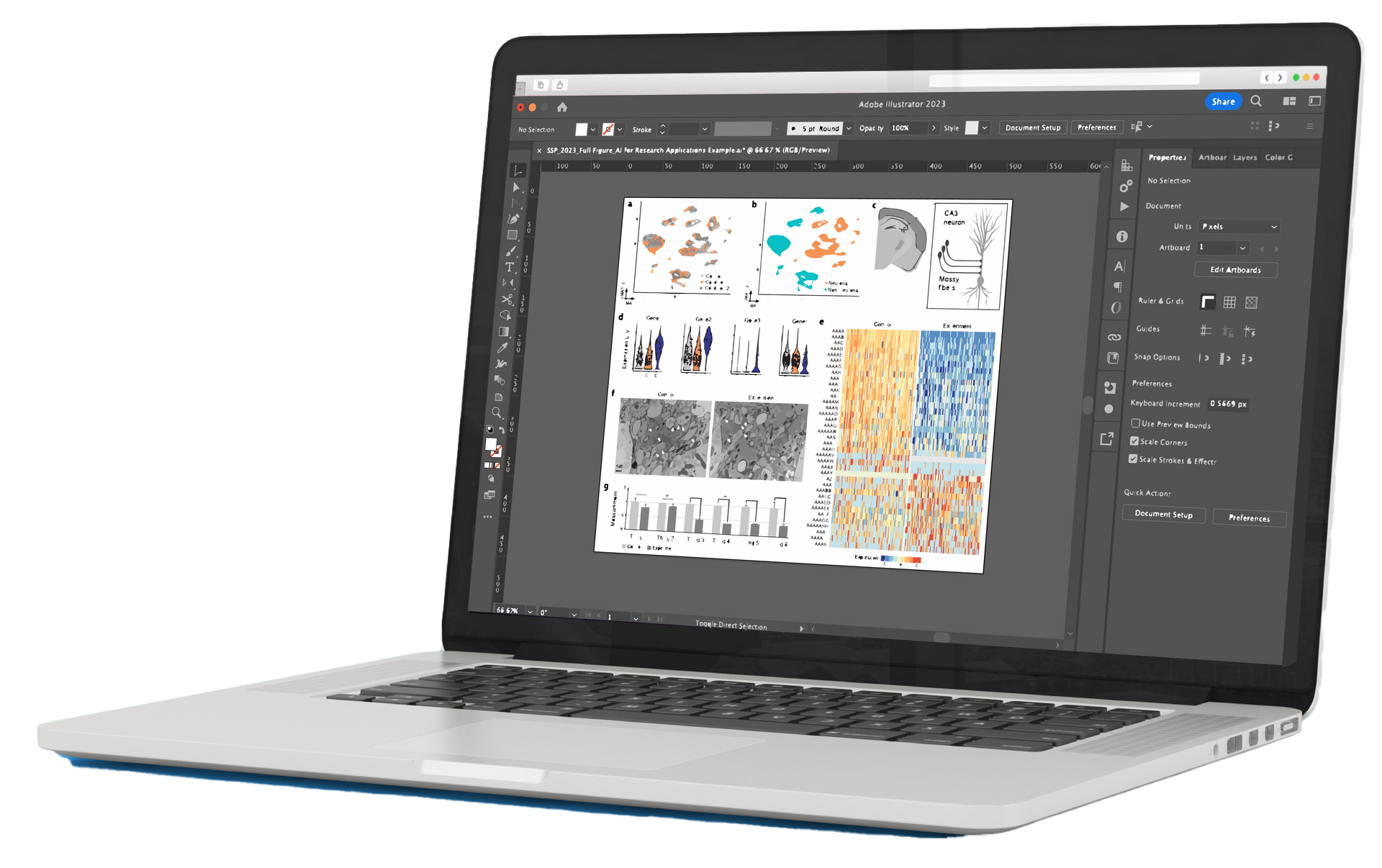 Example figure for scientific paper in Adobe Illustrator