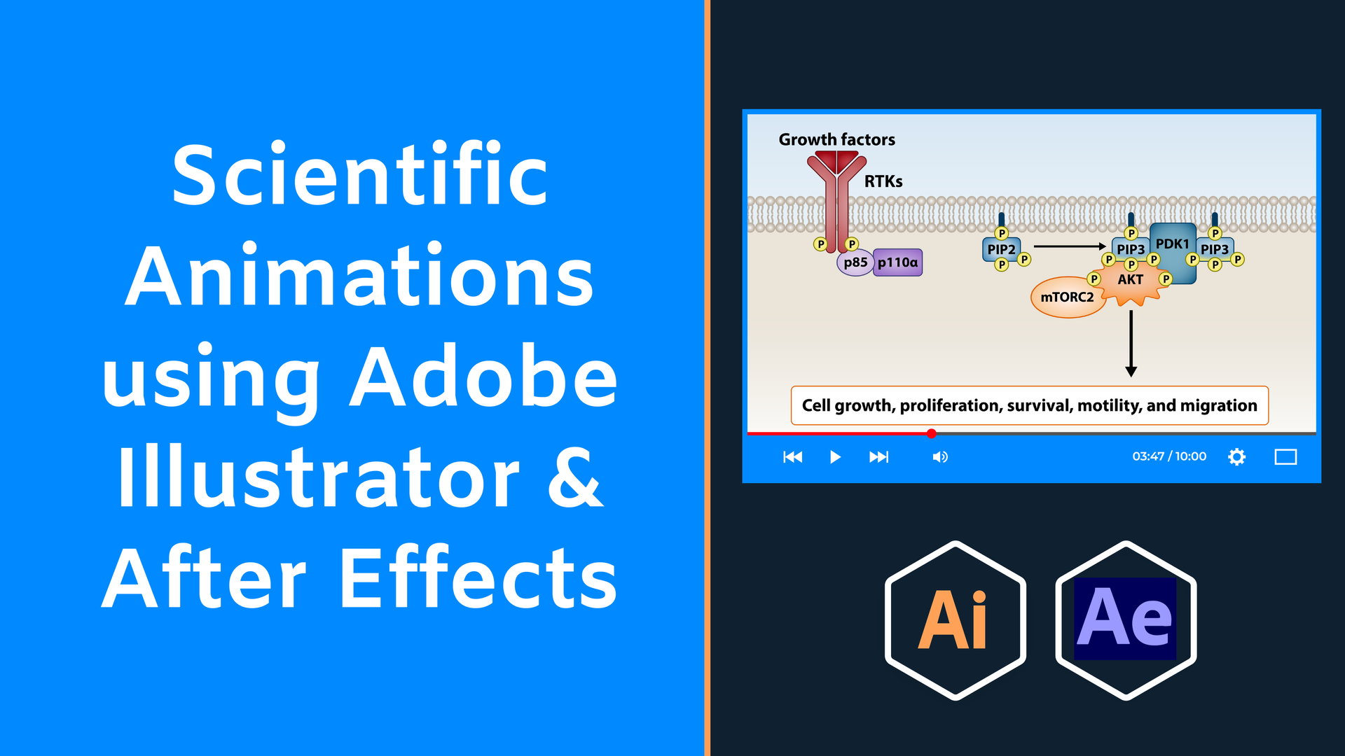 Scientific animation course Adobe After Effects example Scientific animation course Adobe After Effects example