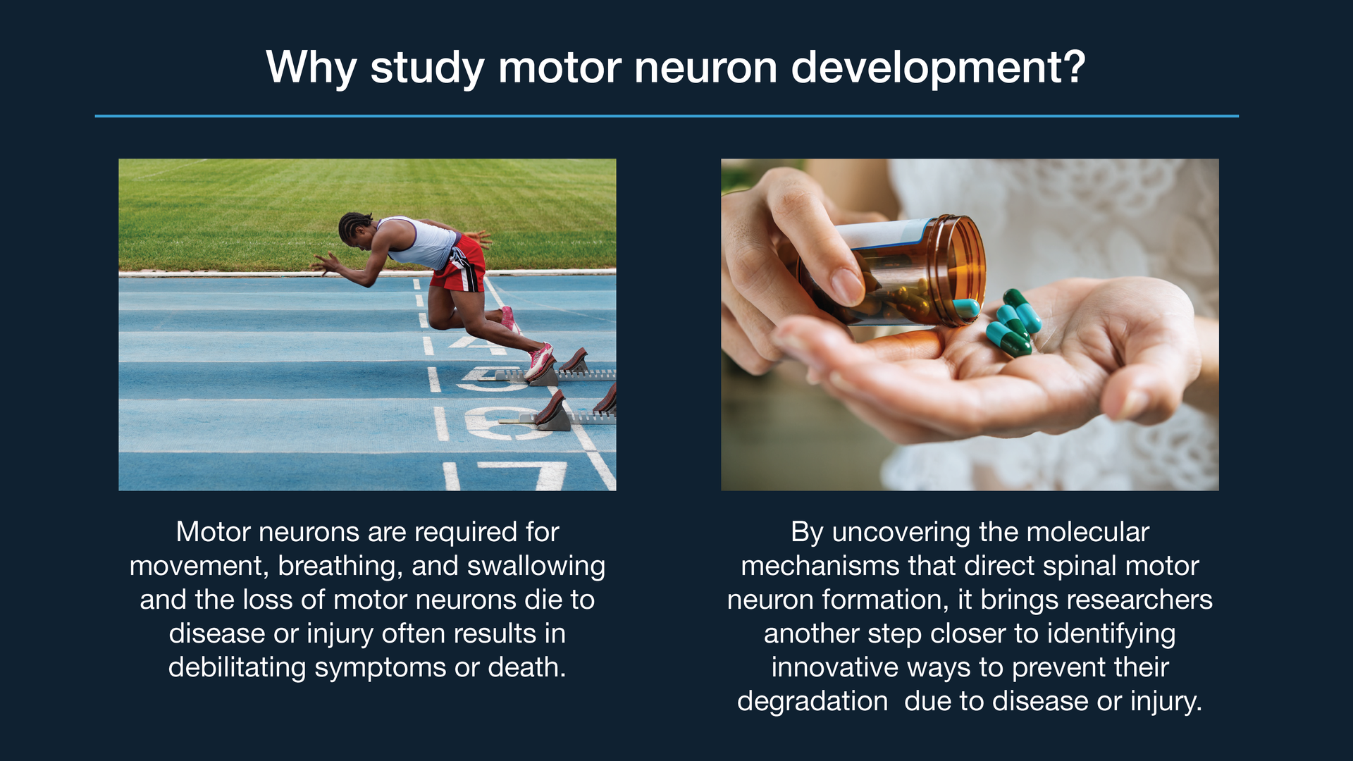 Background slide example for research talk with therapeutic potential