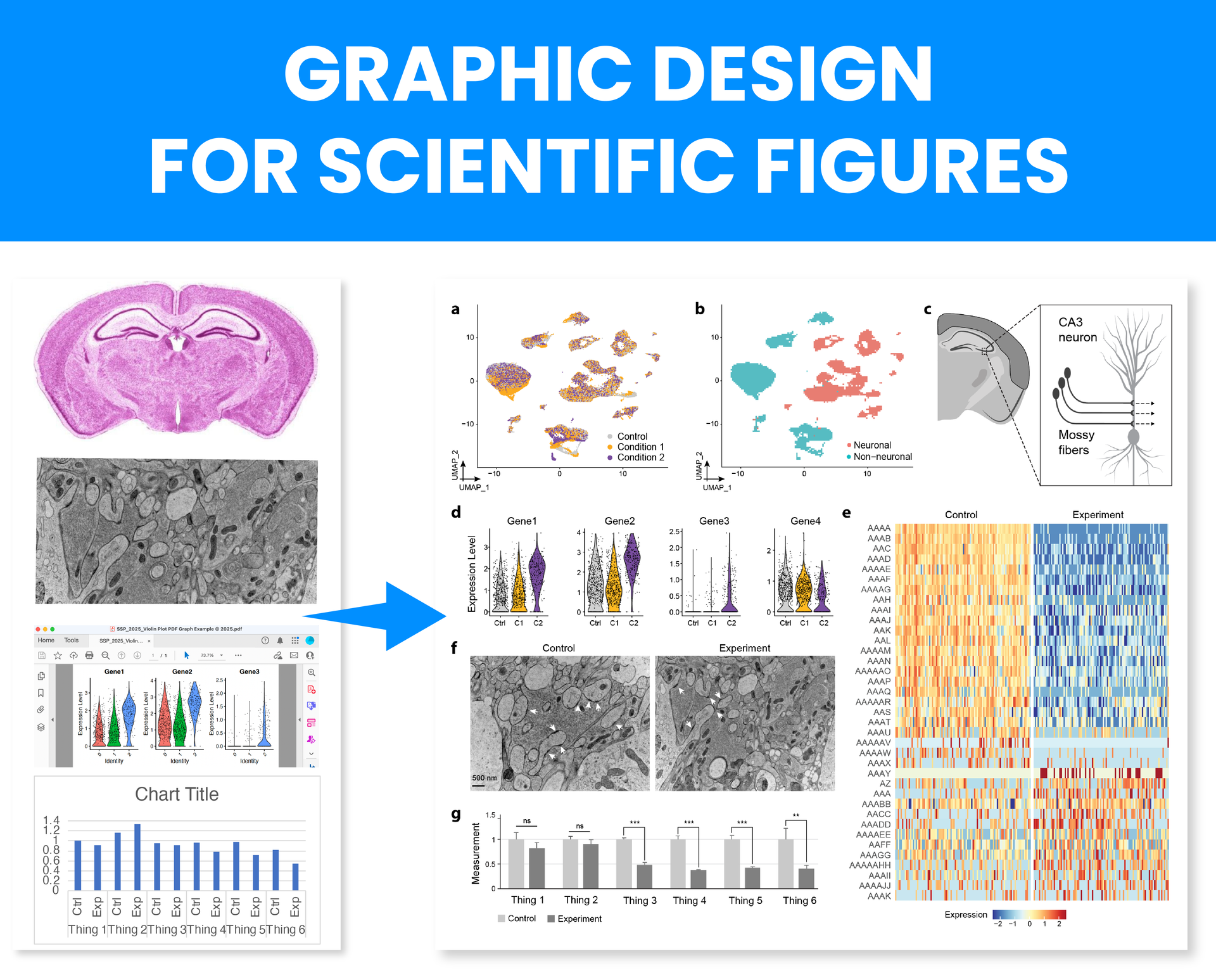 Adobe Illustrator research applications course materials example