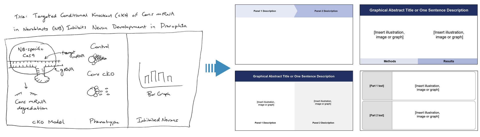 Graphical abstract examples with left-to-right designs