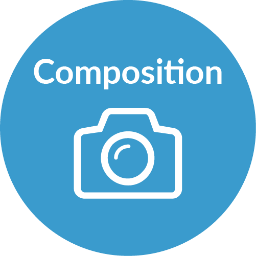 Adobe Illustrator scientific illustration tool