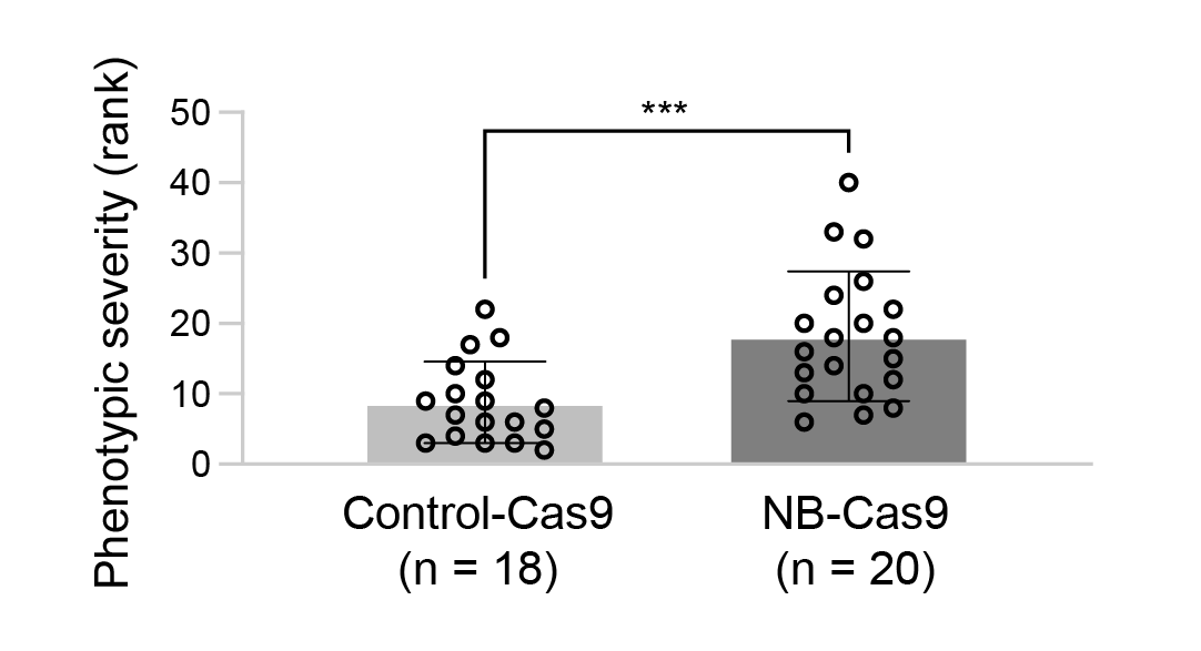 Scientific scatter plot with bar graph