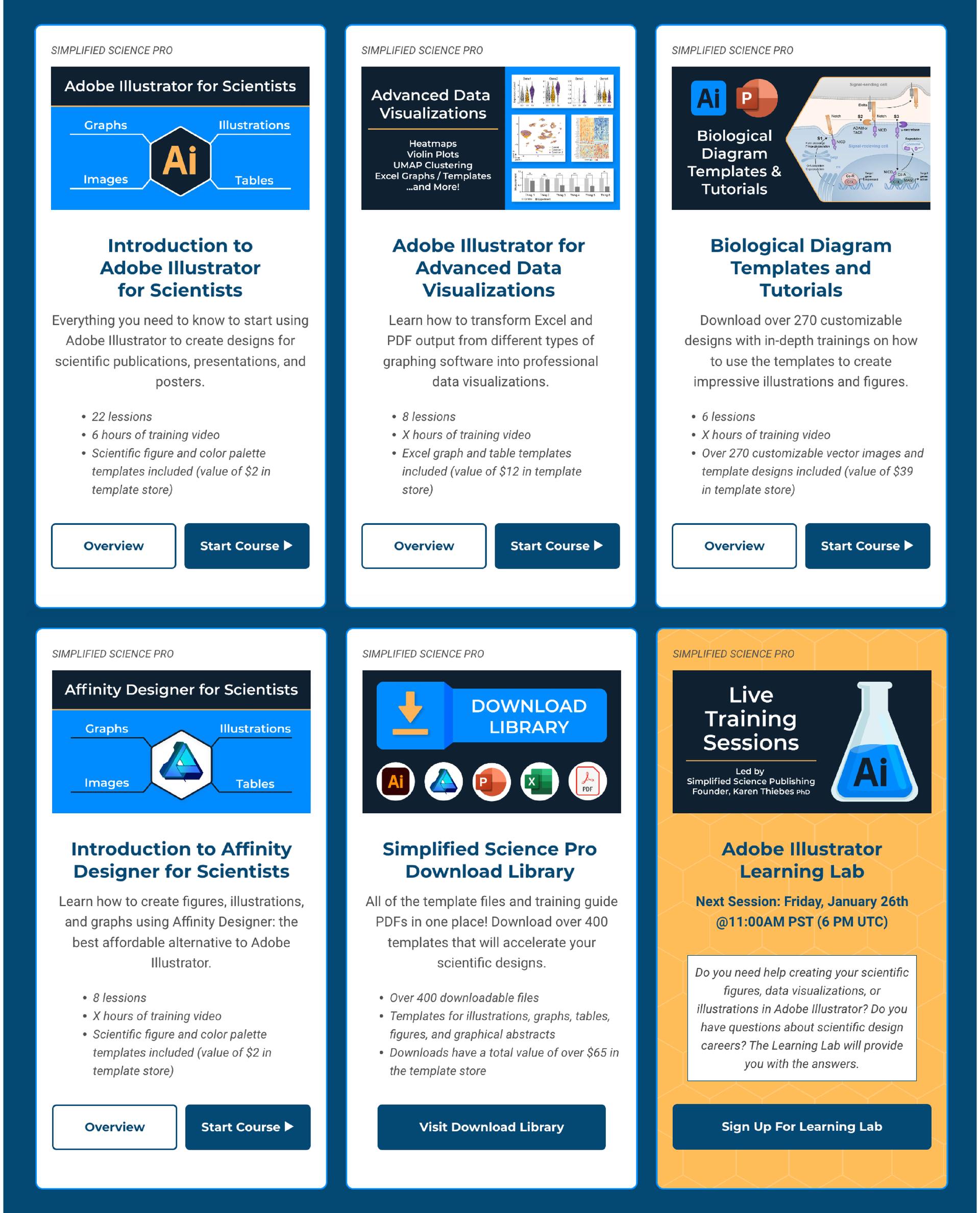 Click on the image to go to the advanced courses Advanced Online Courses for Adobe Illustrator
