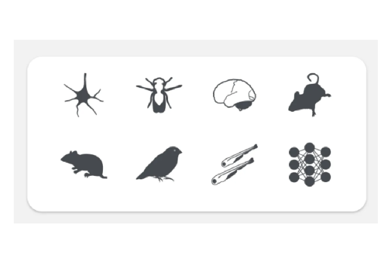 SciDraw science image template example SciDraw science image template example with animal models