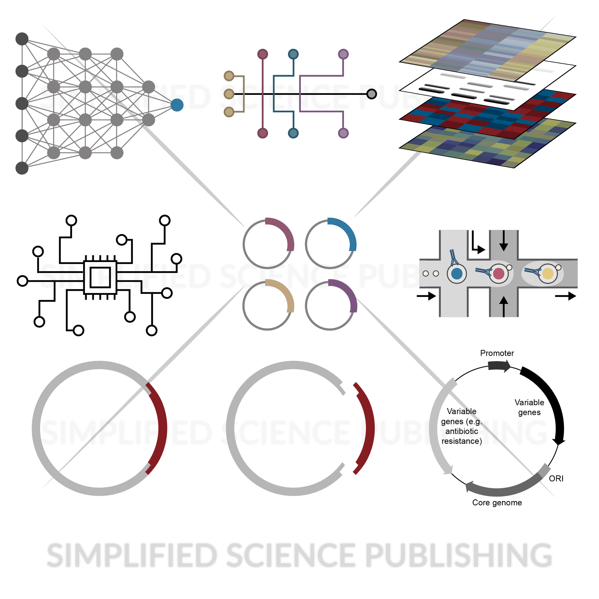 Molecular assay and plasmid drawings and templates