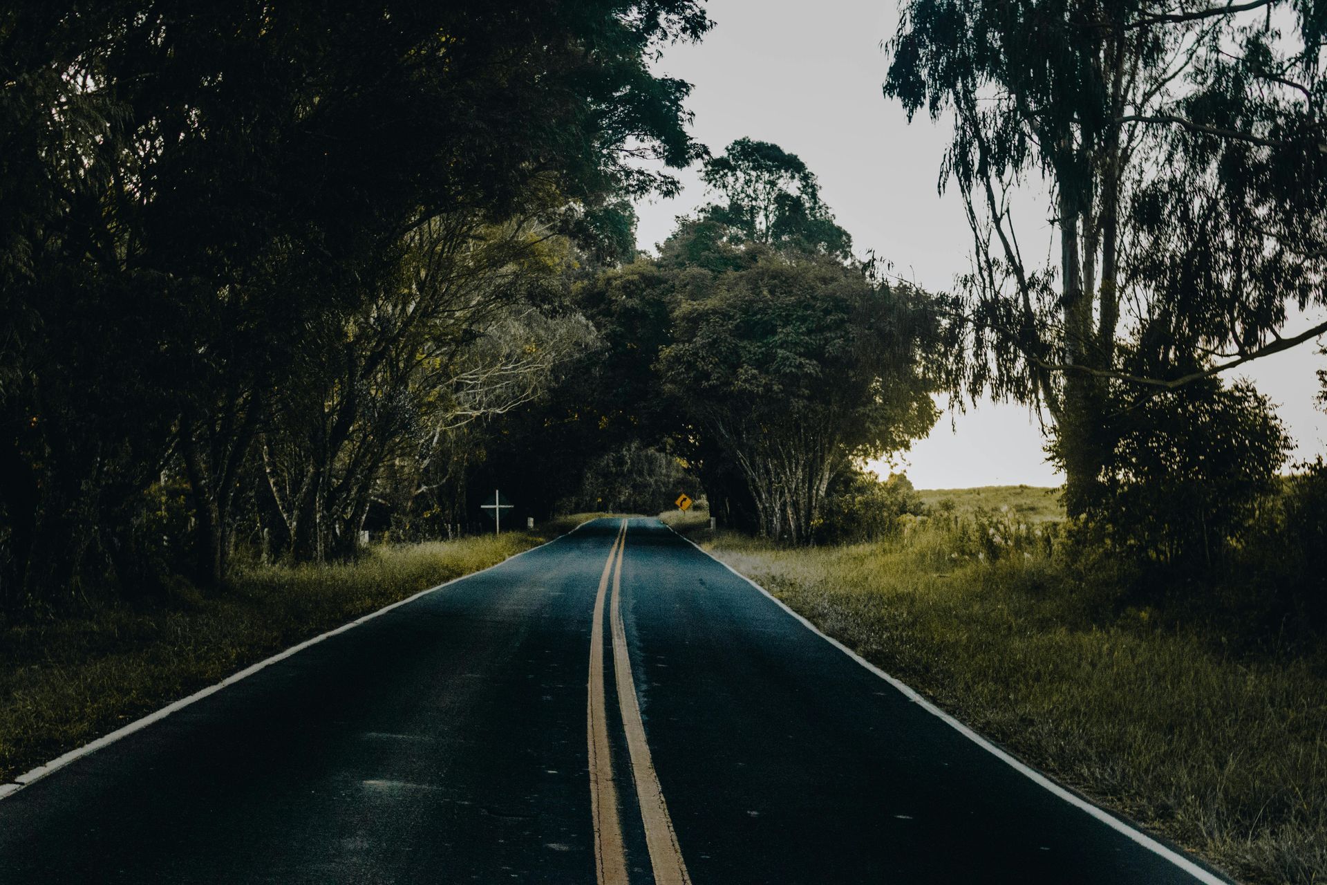 Road lined with trees, asphalt leads towards the horizon, yellow center lines, rural setting.