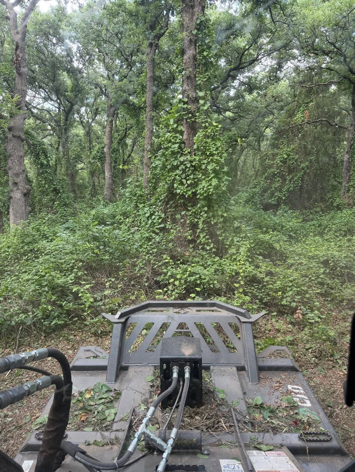Woodland view with a gray utility machine in the foreground and dense green trees behind it