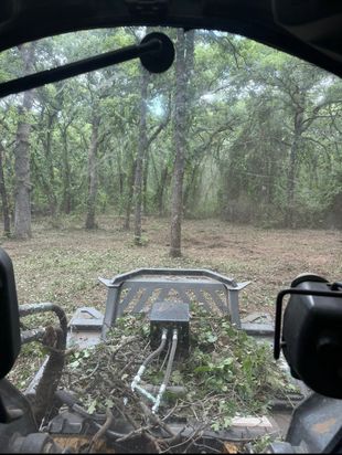 View from a vehicle through a dusty windshield onto a wooded trail with a metal gate and fallen branches.