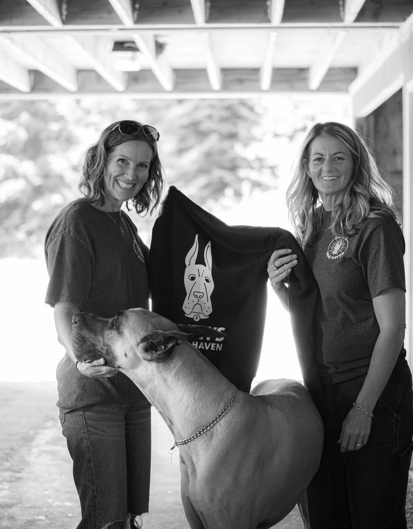 Get cozy with the FDH hoodie — soft fleece, relaxed fit, sturdy pocket, and a bold logo that serves everyday attitude.