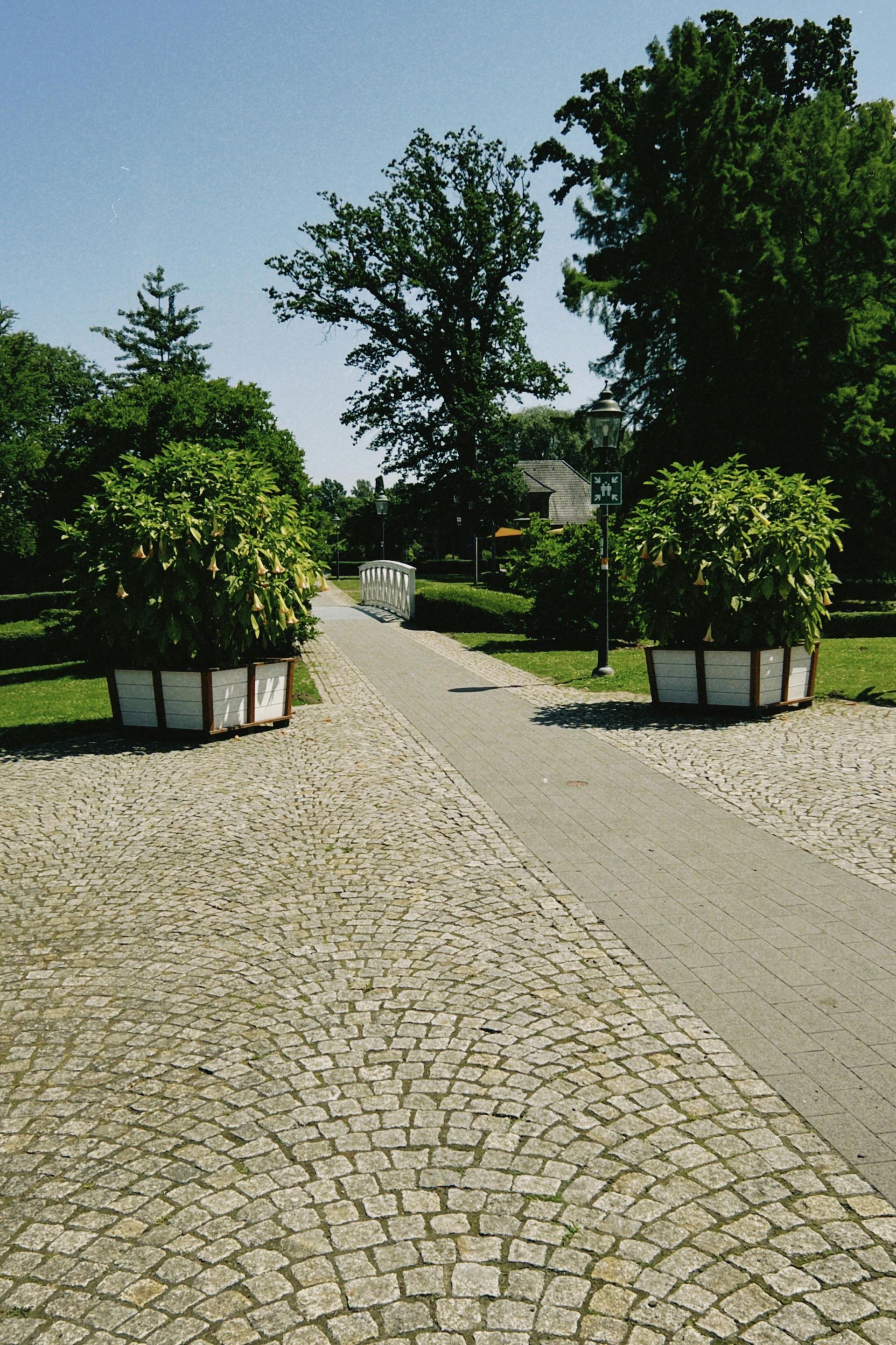 A paved path leads through a park toward a small bridge, framed by two large, potted green bushes on either side.