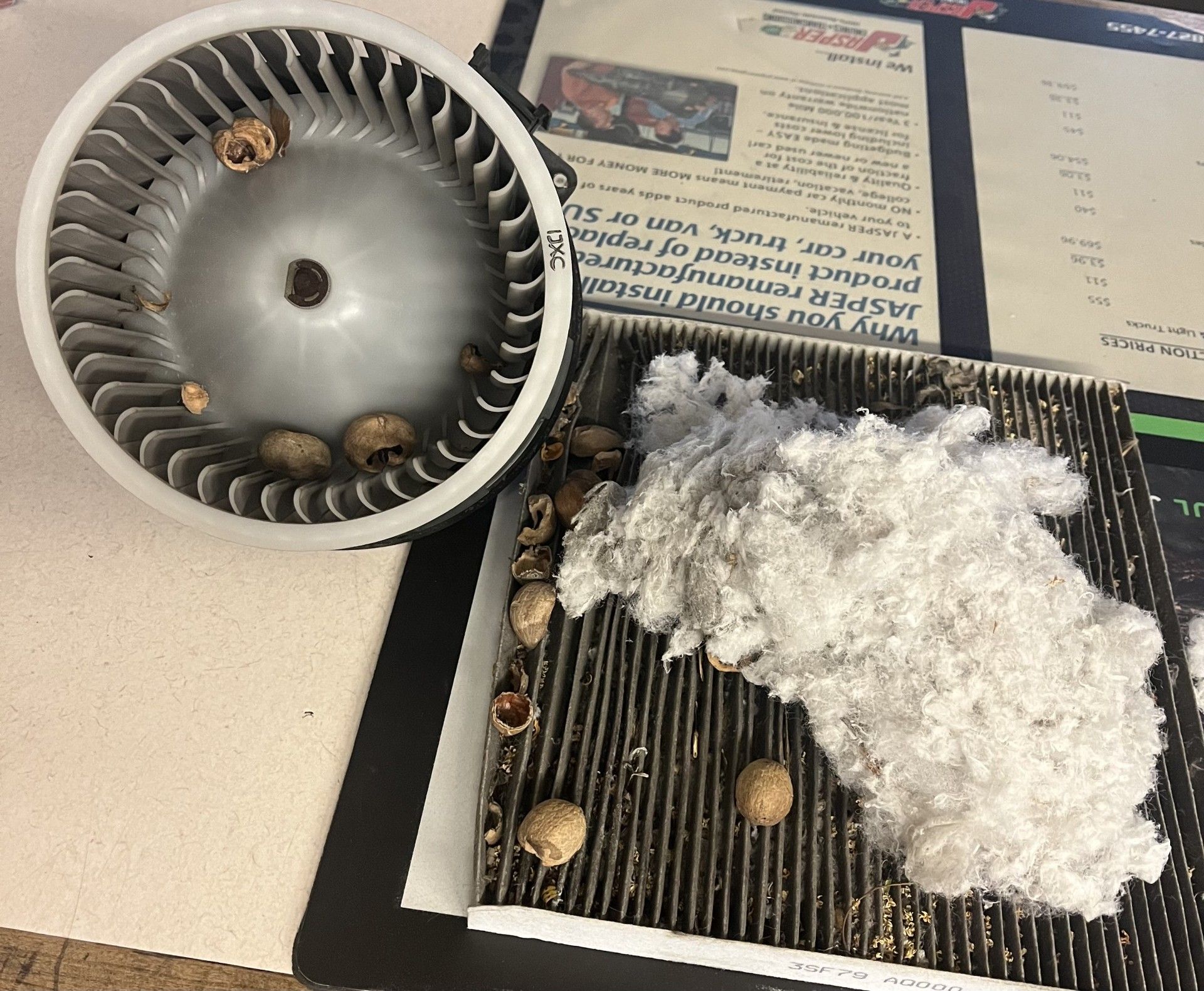 Cabin Air Filter - Stroup's Garage