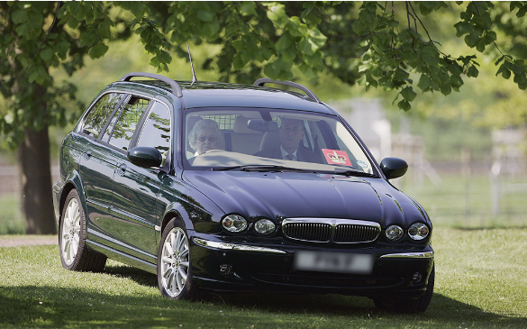 A black car is parked in the grass under a tree