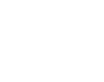 Imagem branca vazia.