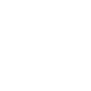 Commercial Pest Control