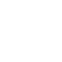 Termite Treatment and Control