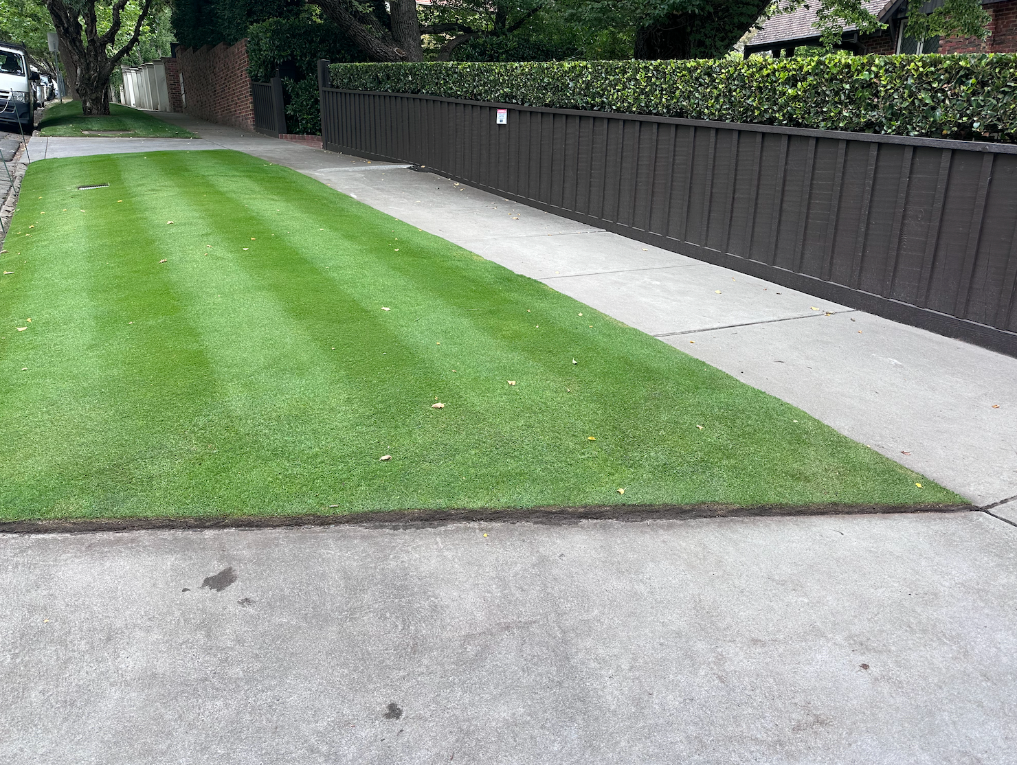 Grassy strip beside a sidewalk and dark fence along a tree-lined path