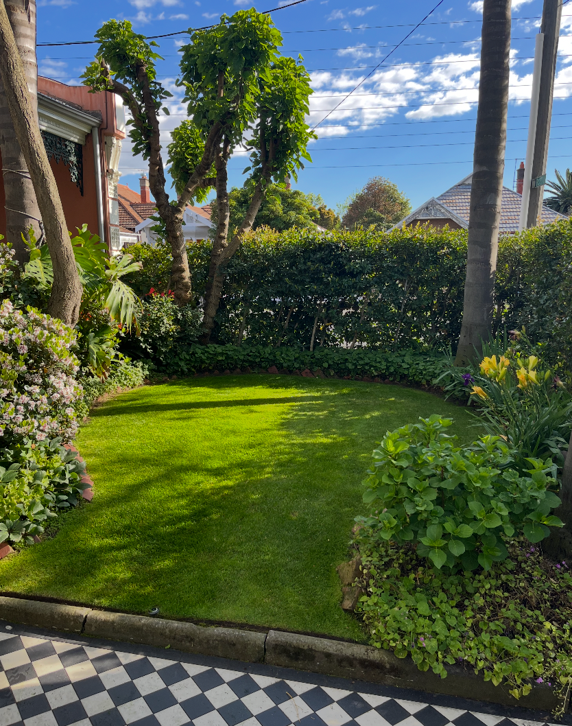 Sunny garden lawn with hedges, palm trees, and a checkered patio in the foreground