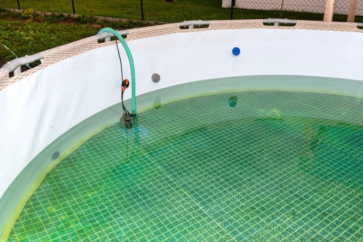 Empty above-ground pool with green water and a hose filling it.