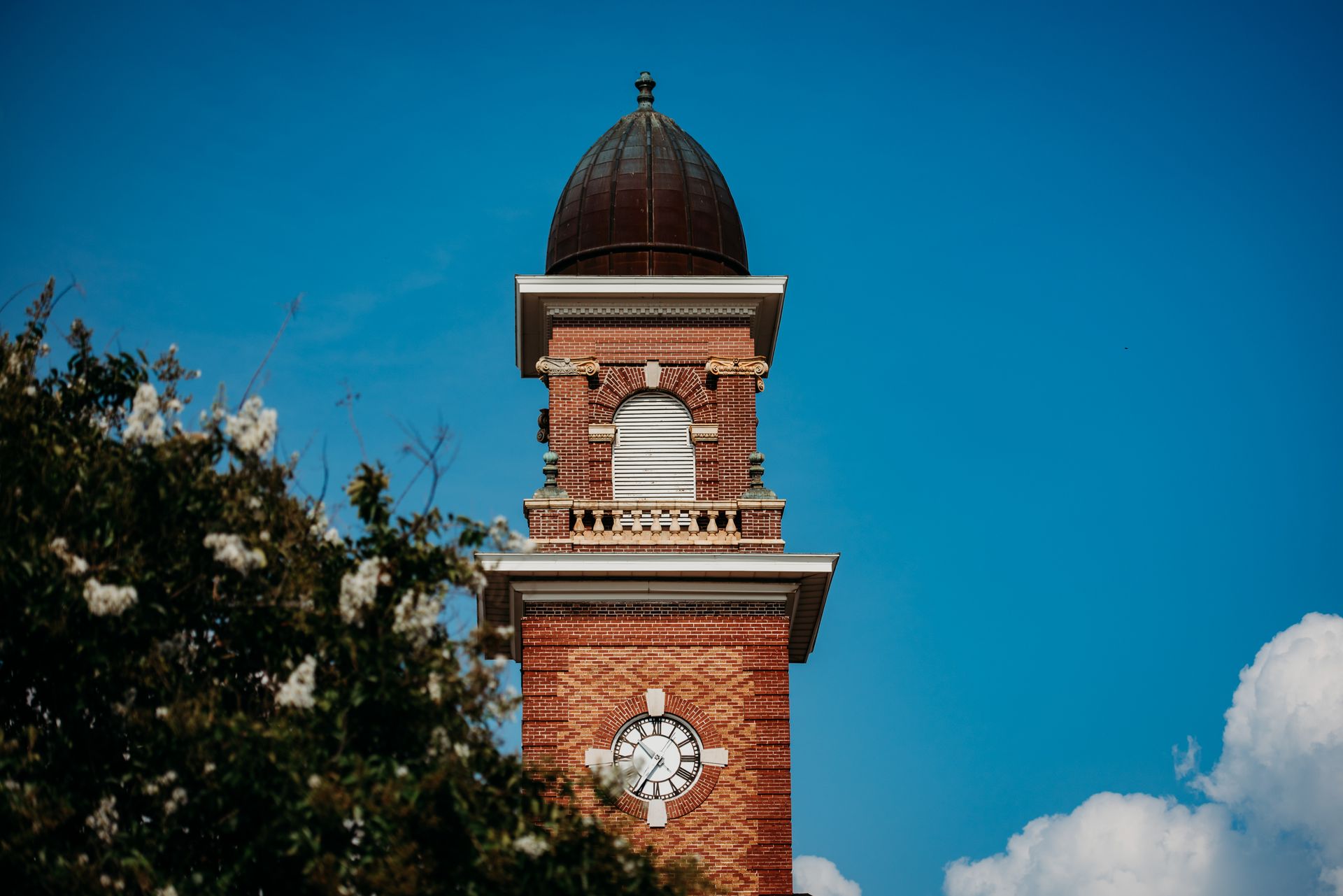 Brick clock tower with copper dome against a blue sky, white clouds, and tree branches.
