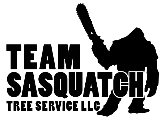 Black logo reading &ldquo;TEAM SASQUATCH TREE SERVICE LLC&rdquo; with a sasquatch holding a chainsaw.