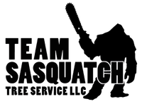 Black logo reading “TEAM SASQUATCH TREE SERVICE LLC” with a sasquatch holding a chainsaw.
