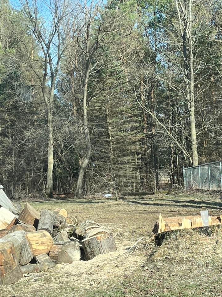 Wooded yard with stacked cut logs and a chain-link fence in the background