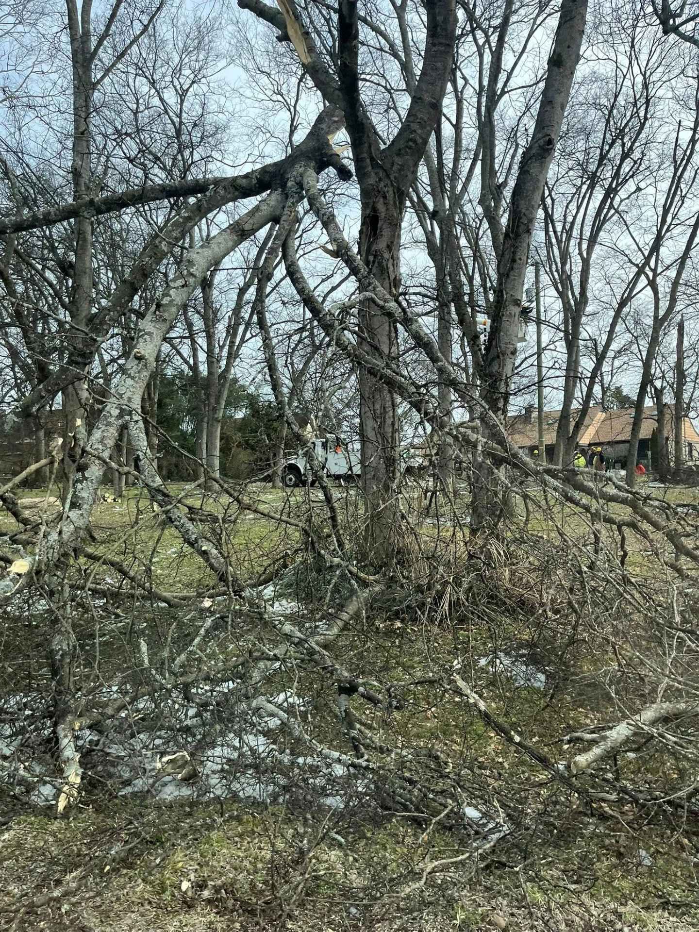 Broken tree branches scattered across a yard near a house after storm damage