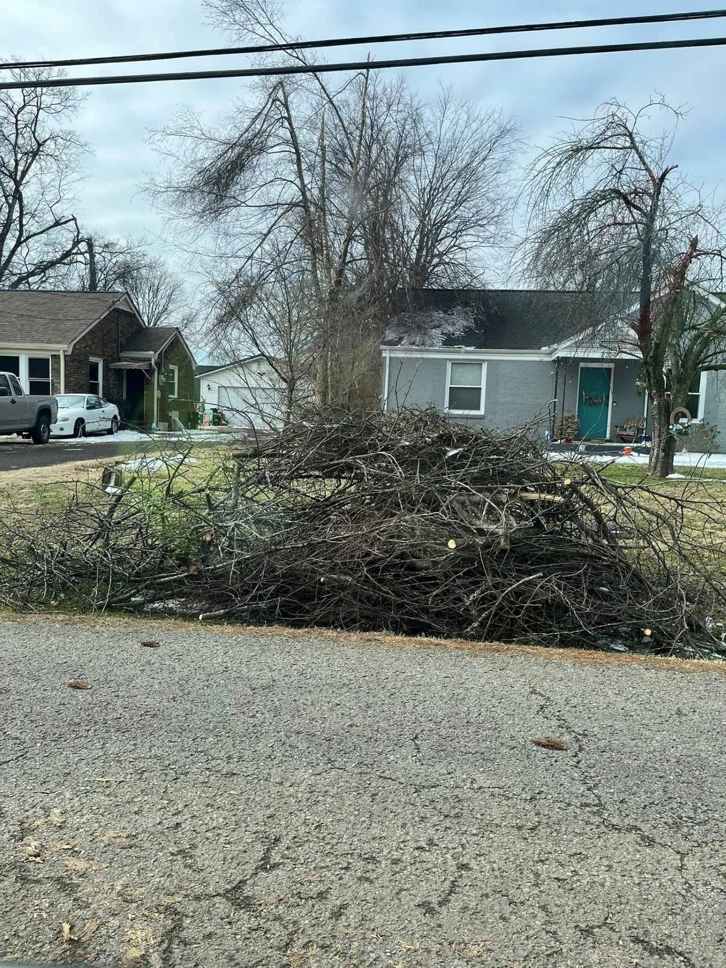 Large pile of cut tree branches on a residential street in front of two houses.