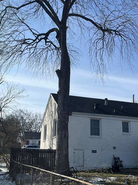 Bare tree beside a white house with a dark roof under a clear blue sky.