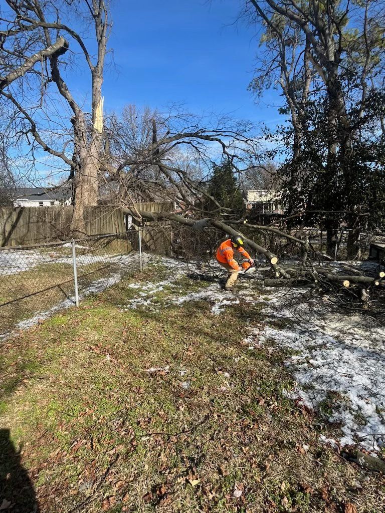 Worker in orange using a chainsaw in a snowy backyard under a clear blue sky