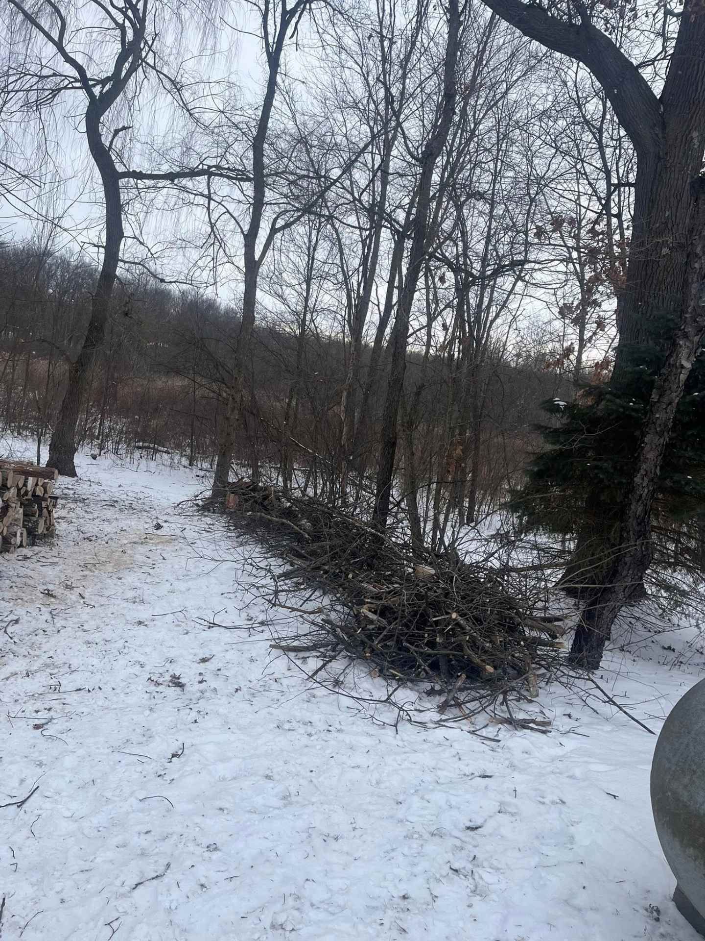 Snowy wooded trail with bare trees and a car at the right edge