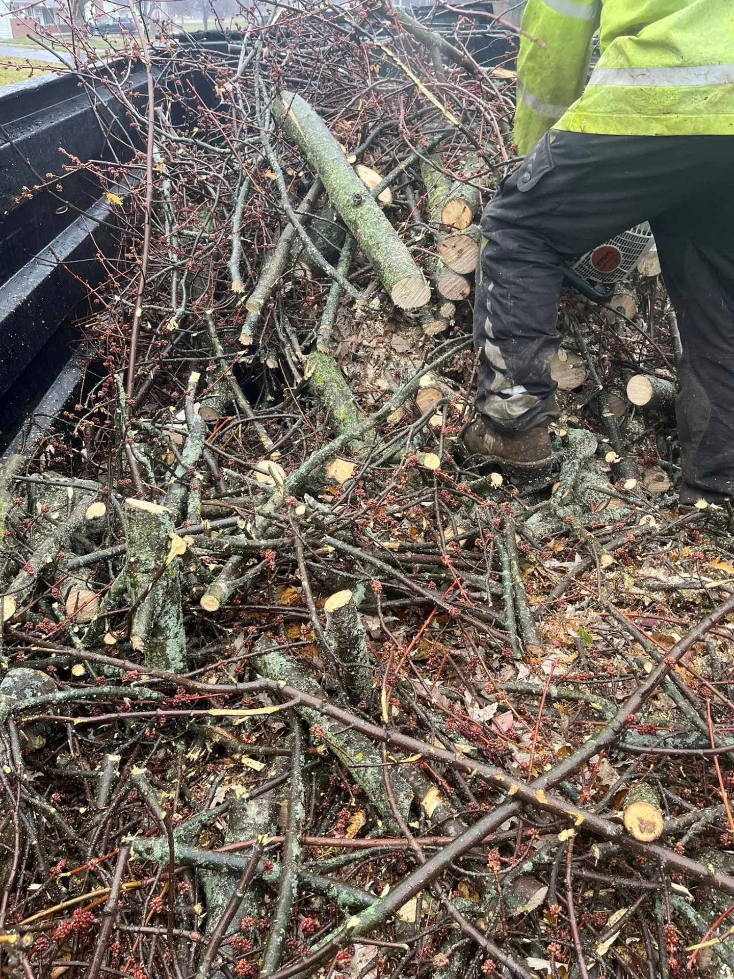 Worker in high-vis jacket standing by a pile of cut branches and logs on wet ground