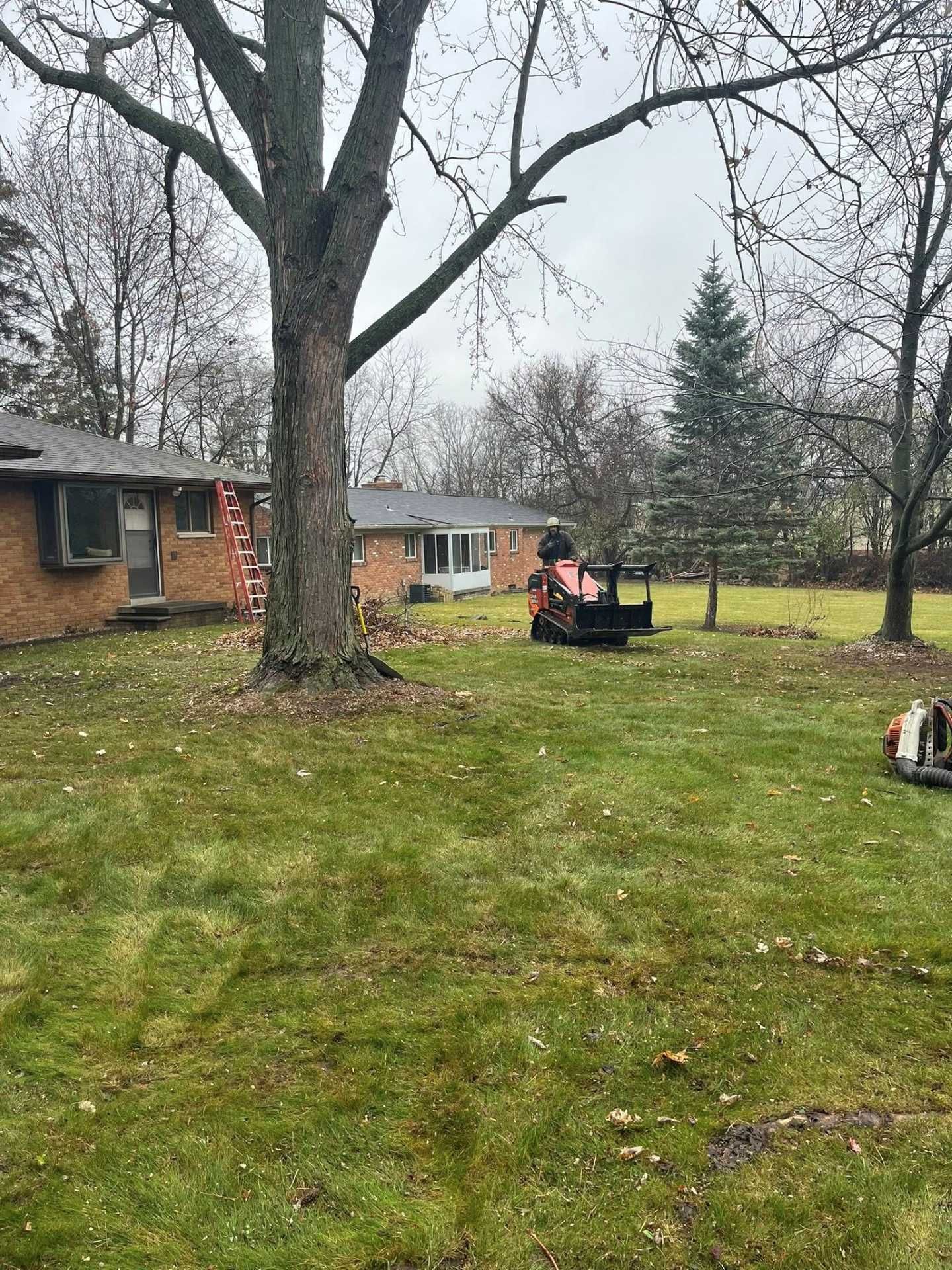 Backyard with large trees, a brick house, and two people sitting on a lawn chair near a fire pit.