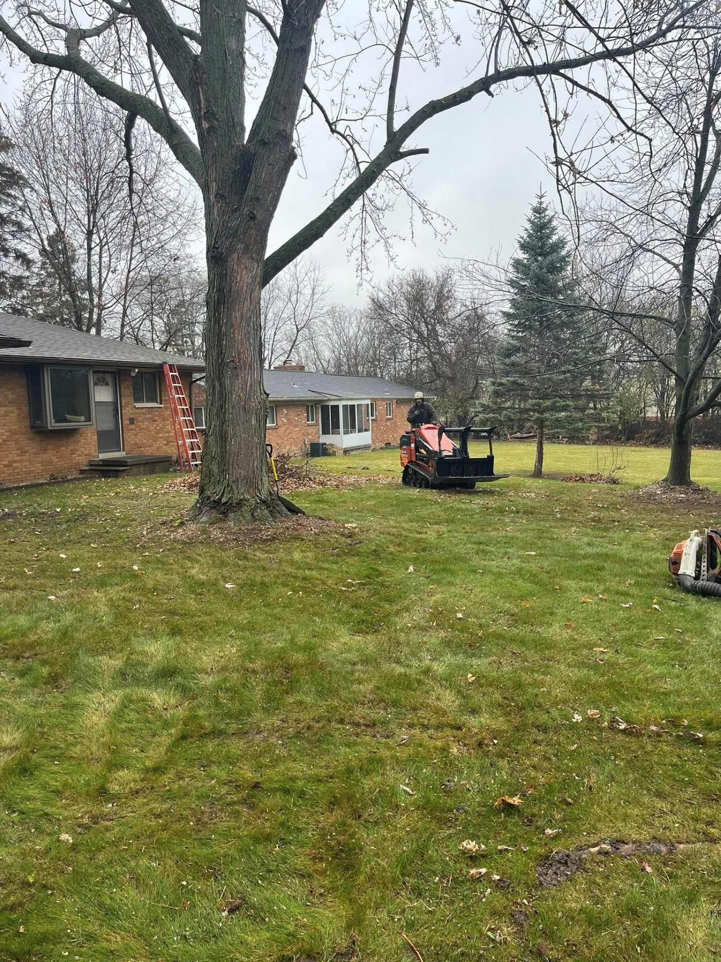 Backyard with large tree, brick houses, and two people sitting near a black object on a rainy day