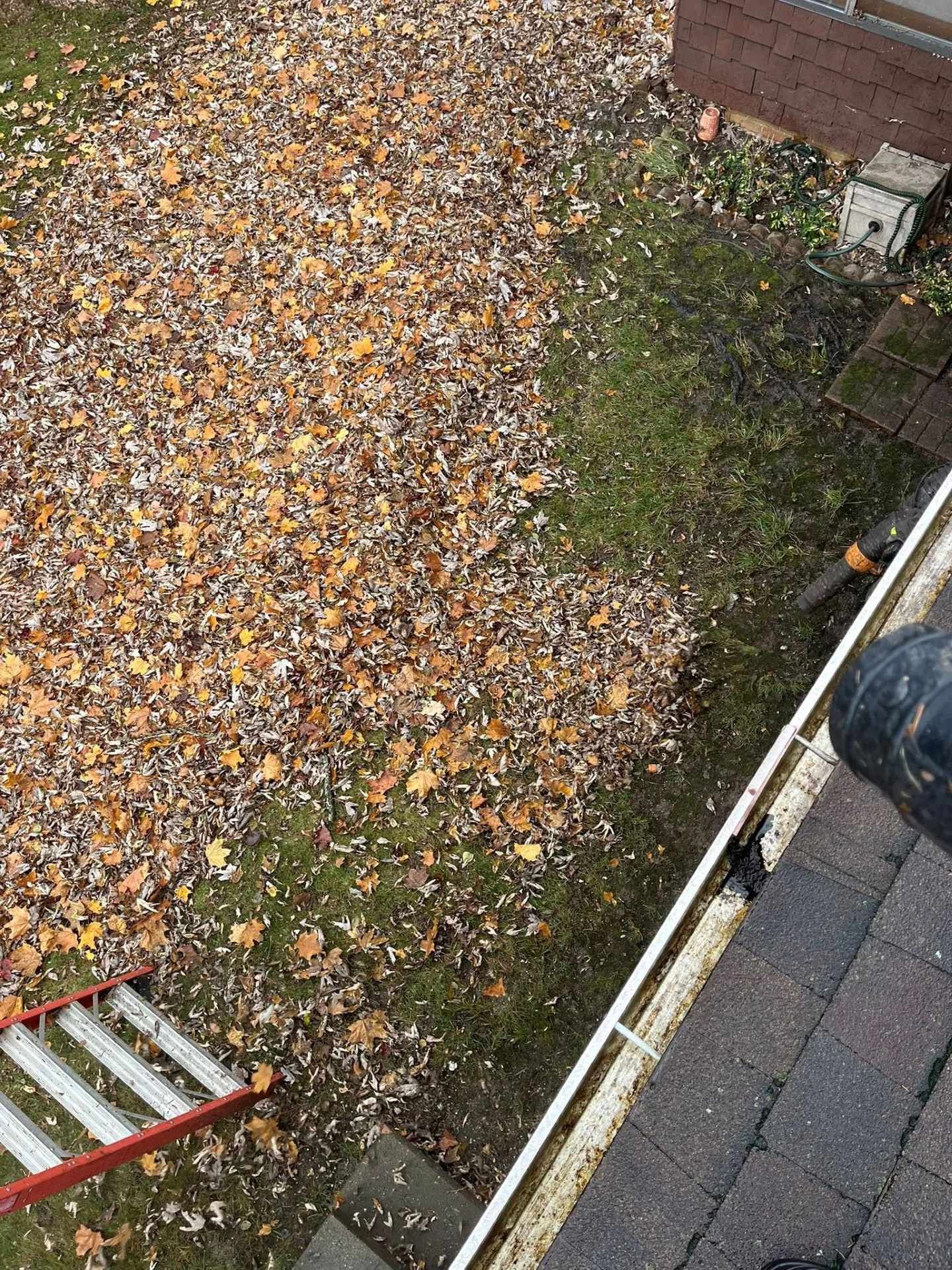 Top-down view of a leaf-covered yard beside a house roof, with a ladder and brick wall visible.