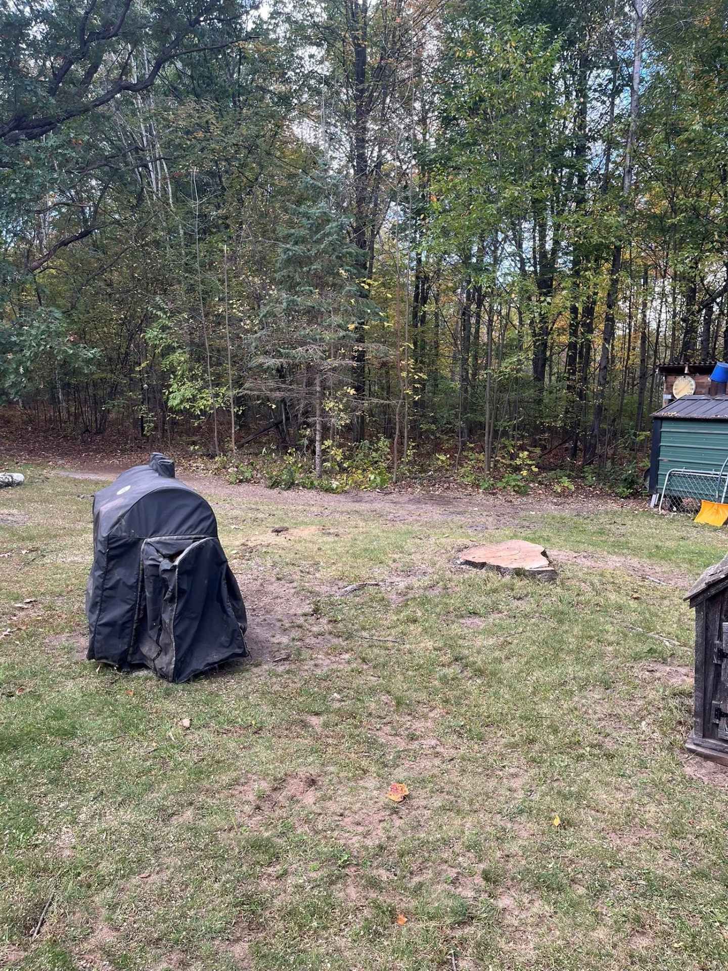 Backyard with trees, a covered grill, and a small shed or bin on the grass