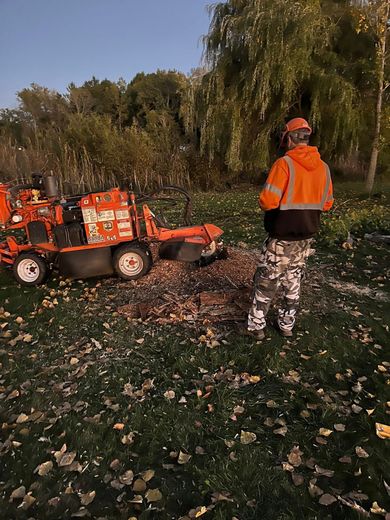 Worker in orange vest standing by an orange utility cart in a leaf-covered park at sunset.