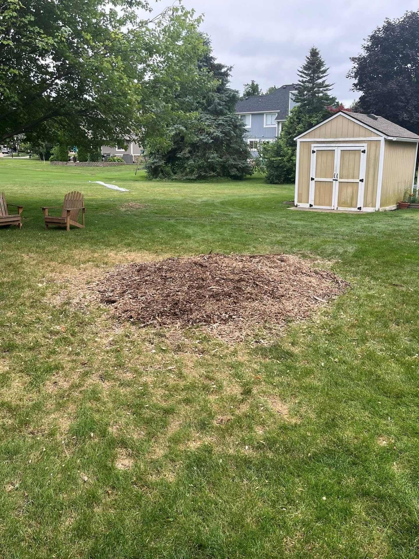 Backyard lawn with a large bare dirt patch, two chairs, trees, and a tan shed in the background